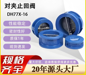DH77X-16C/DN65蝶式止回閥（水處理區(qū)域用）